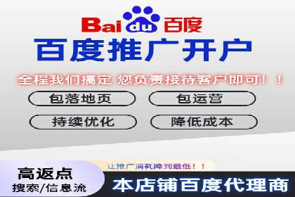 谷歌竞价案例：成功案例分析及启示